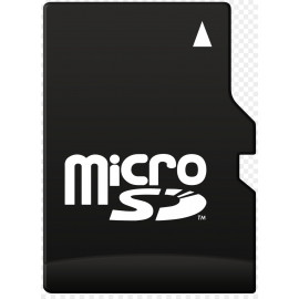 Micro SD 256GB